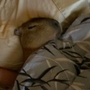 Team_SidewayZ-NathanTheKings465_Modlist icon