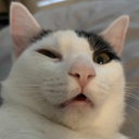 Teampoo-PooMods icon