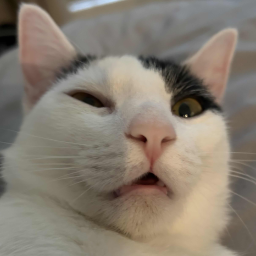 Teampoo-PooMods icon