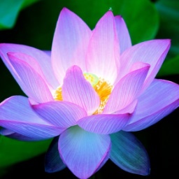 TechnicPack-TechnicPack icon