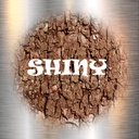 Teddzy-Shiny_Skins icon