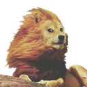 TeeterTech-CarTismBois icon