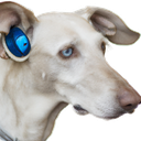 TestAccount666-DogSoundFix icon