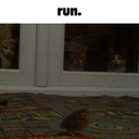 ThatOneLivisShack-LivisCruiserRadioSongs icon