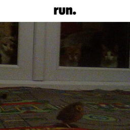 ThatOneLivisShack-LivisCruiserRadioSongs icon