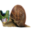 ThatoneGamer_74-The_Perfect_Immortal_Snail-1.0.0 icon