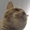 TheBakery-LethalBeans icon