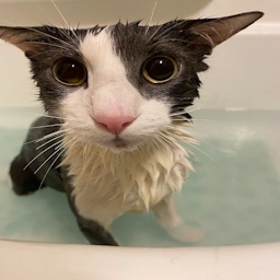 TheBathroom-The_Bathroom_Modpack icon