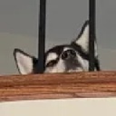 TheDiscord-TheLethalCompany icon