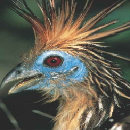 TheFlyingCow-TheFlyingCow icon