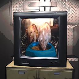 TheGamingDonkey-donkey_videos_test icon