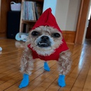 TheLab-TheGooberPack icon