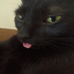 TheMans-BoringMaps icon