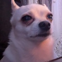 TheNalvi-SanyaModLC icon