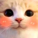 ThePooks-POOKIEPACK icon