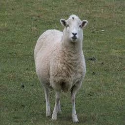 TheSheeps-SheepModpackFriends icon