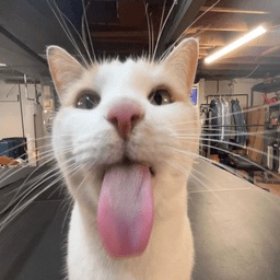 TheWomanOfTheGroup-Edging_Booth_Modpack icon