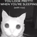 The_Bois-Gay_Company icon