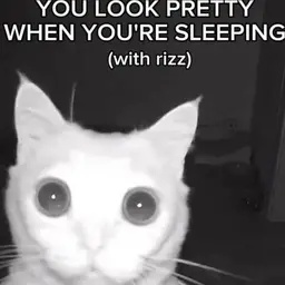 The_Bois-Gay_Company icon