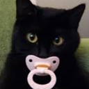 The_Cock_Suckers-ModPackForMyPookiesV2 icon