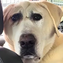 The_Crib-The_Crib_ModPack icon