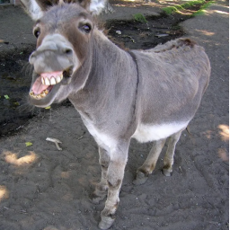 The_Franks-The_Franks_Modpack icon