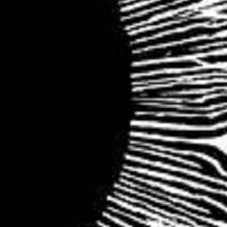 The_Voyd-The_Voyd icon