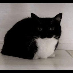 TheaWeahCo-TheaWeahs_ModPack icon