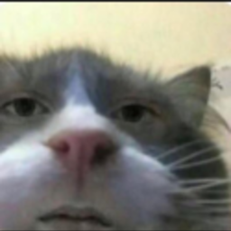 Theatrics-Meat_Mountain_Pack icon