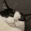 Thedarkspartann-Space_Monkey_modpack icon