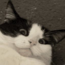 Thedarkspartann-Space_Monkey_modpack icon