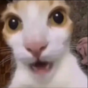 Thibs-LC_Responder_Mod icon