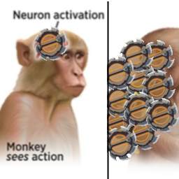 Thrayonlosa-SeeSaw icon