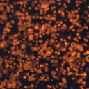 Thunder1-ThundersModpk icon