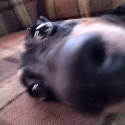 TilinesGang-TilinasoModpack icon