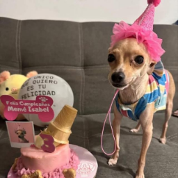 TilinesInc-TilinesMixTape icon