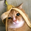 TimPookie-TimIsSchizo icon