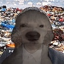 Timberculosis-MrCheeksMod icon