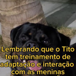 Tito-Tito_Quality_Life_Mod icon