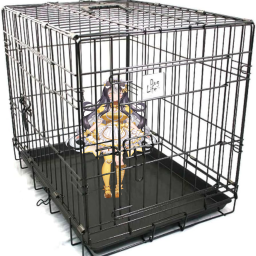 TobiTeam-Artiposters icon