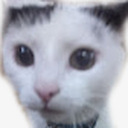 Tohricat-NutcrackerButtcracka icon