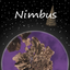 Tolian-Nimbus-0.5.0 icon