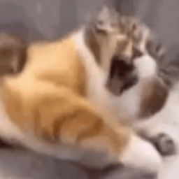 TomatoIncorporated-Tomatoes_QOL_Modpack icon