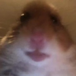 Tonoto-TonotoSuit icon