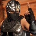 TonyPizza-RyuHayabusa icon