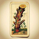 TorVergogna-TorVergognaAdventures icon