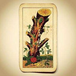 TorVergogna-TorVergogna_AfterSession icon