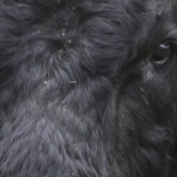 Toro02-toro_modpack icon