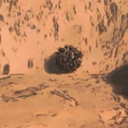 ToughNewsTurtles-Lethaler_Company icon