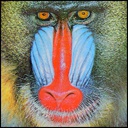 TrafficConeYT-MandrillMaze icon